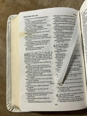 Revised English Bible (REB) White French Morocco Leather Rare Cambridge REB172W