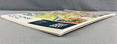 Alphonse Mucha Coloring Book Lot Of 12 Pages Clean Watercolor Pages