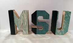 Decor MSU Mich State Univ Cut Letters Readers Digest Condensed Books Dorm Grad