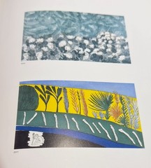Mimmo Paladino: Graphic Work 1974#2001 (Art of This Century) by Paladino, mimmo