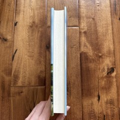 The Names A Novel – VERY GOOD
