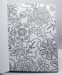 Hallmark Crayola PATTERNED ESCAPES Adult Coloring Book – 80 Pages – NEW!