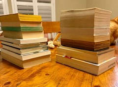 Lot of 17 Classic Lit Fiction Books (Varied Authors)