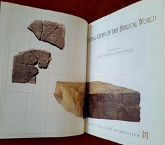 Royal Cities of the Biblical World by J.Goodnick Westenholz,1996,334 pages, new.