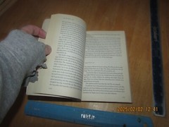 Life of Pi : A Novel by Yann Martel (2003, Trade Paperback)