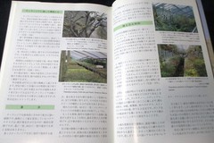 NEW TILLANDSIA HANDBOOK Shimizu-Takizawa 1998 Air Plants Japanese-English SCARCE
