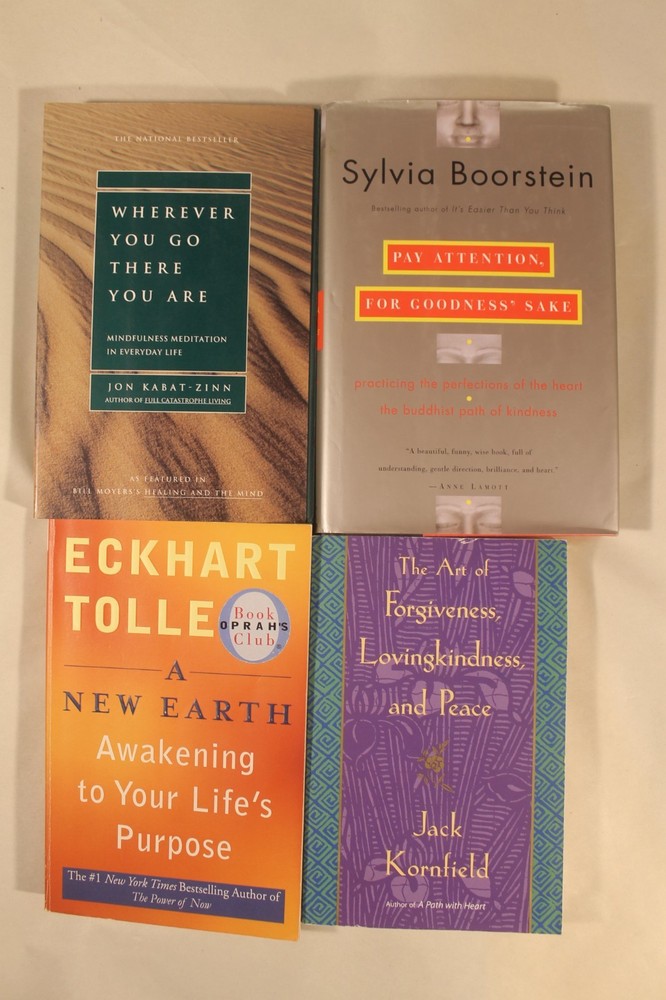 Wherever You Go There You Are, Pay Attention, The Art of Forgiveness + (4 Books)