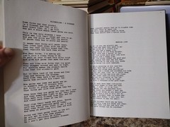 Memories of Nat Graber 376 Pages Circa 1990s Poetry Family Photos Privately Publ