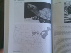 Turtles of the United States & Canada, 1994 First Edition