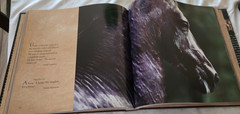 Vavra’s Vision: Equine Images by Robert Vavra – Pre-Owned Excellent Condition