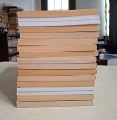 Goosebumps Books Lot of 17 R.L. Stine Mostly Vintage 1990s Paperbacks More Tales