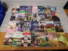Lot of 28 Assorted Paperback Books, Novels Mixed Genres/Authors/Titles