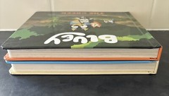 BLUEY Board Books -Set of 2 – The Beach / The Creek – Puffin 2018 – As New Cond.