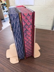 On Wings of Blood The Bond That Burns Bloodwing Academy 1 + 2 Briar Boleyn DJ HC