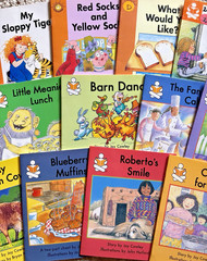 The Wright Group Story Box Emergent Books 21 Readers Joy Cowley Levels E F G H I