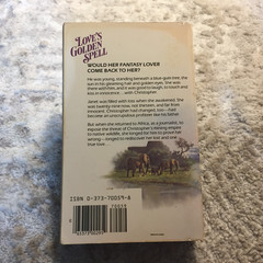 Love’s Golden Spell Willa Lambert 1983 Worldwide Library Corporate Romance Book