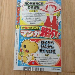 Bessatsu Saikyo Jump August 2024 Romance Dawn One Piece Appendix Card Set