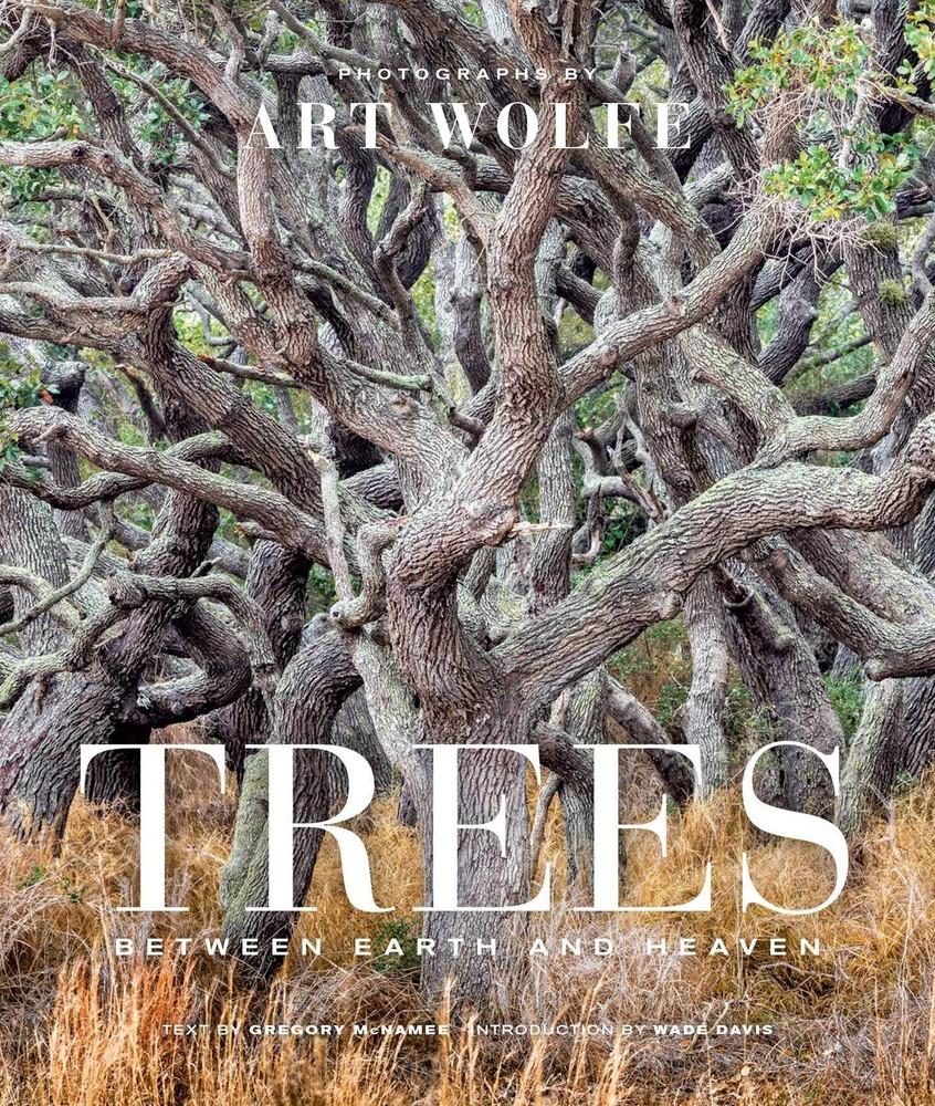 Trees (Gift Edition): Between Earth and Heaven Wolfe, Art hardcover Very Goo…