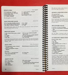 LAKE STATE FEDERAL CREDIT UNION FAVORITES COOKBOOK 8.5X6 INCHES MOOSE LAKE MINN.