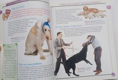 Used Book KISS Guide To Living With A Dog 2001 Paperback 415 Pages Very Good DK