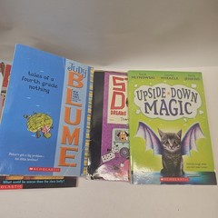 Lot of 16 Childrens Chapter Books Ages 8-12 (3-6 grade) – Scholastic Publishing