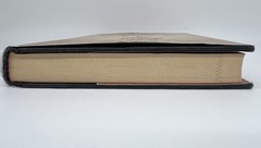 The Book of Vice: Very Naughty Things – Sagal Peter | Hardcover | Very Good