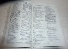 The New Student Bible – New International Version – Paperback