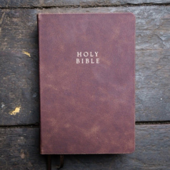 Reformation Heritage KJV Study Bible : Brown Cowhide Leather by Michael Barrett