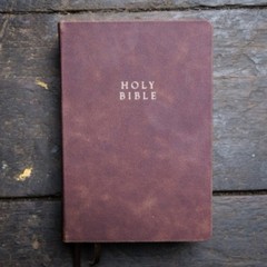 Reformation Heritage KJV Study Bible : Brown Cowhide Leather by Michael Barrett