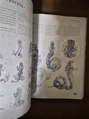 Mythical Beasts: An Artist’s Field Guide to Designing Fantasy Creatures 3dtotal