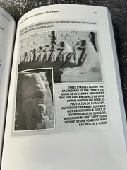 God Heard Their Cry by Ray Vander Laan