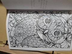 COLORFUL ESCAPES – The colors of Nature! Vol. 26 -Adult Coloring Book – 31 Pages