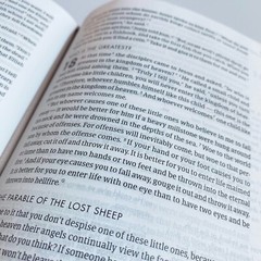 FREEDOM CSB She Reads Truth Bible – Christ Has Set Us Free – Custom Engrave Name