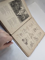 Rare Antique 1889: The Daisy Chain, R Worthington New York, Illustrated *Read
