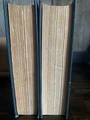 A Treasury of Sherlock Holmes /R L Stevenson Short Stories Collectors Library