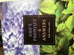 God’s Promises & Answers For Your Life – Paperback By Thomas Nelson – GOOD