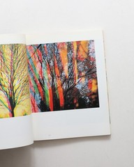 Ishimoto Yasuhiro Iro to Katachi Photography Flowers Photo Book Hardcover