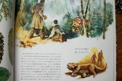 Dinotopia by James Gurney – JAPANESE LANGUAGE Edition 1992 – Hardcover with DJ