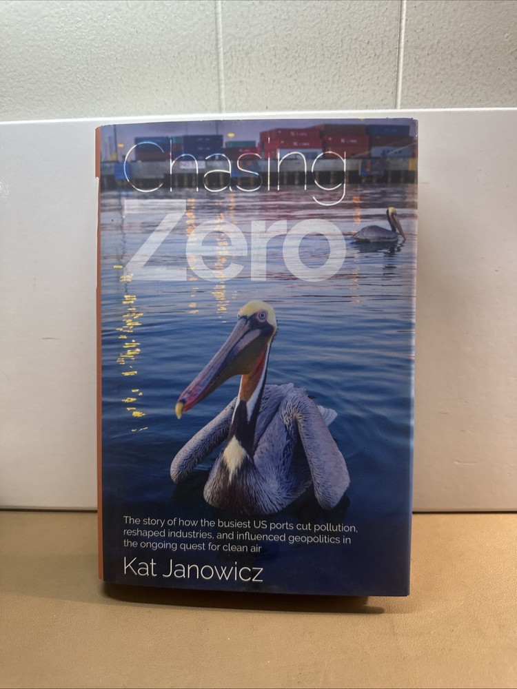 Chasing Zero by Kat Janowicz (2023, Hardcover)