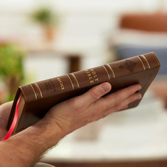 RSV2CE, Thinline Large Print Catholic Bible, Brown Leathersoft, Comfort Print