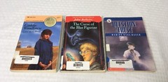 LOT OF 15 YOUNG ADULT NOVELS / MULTIPLE TITLES & AUTHORS / PAPERBACK