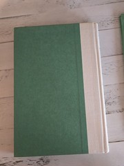 The Eyes Of The Dragon By Stephen King Viking Penguin,1st Printing Hardcover