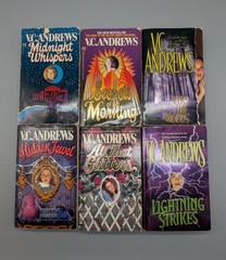 Lot Of 21 VC Andrews Paperback Books Various Series Mix