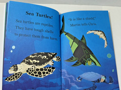 Level 2 Boys Readers Step Into Reading, I Can Read, Learning to Read Lot of 10