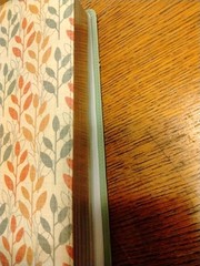 Zondervan NIV Cultural Backgrounds Study Bible Leathersoft Green