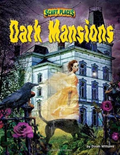 Dark Mansions Library Binding Dinah Williams