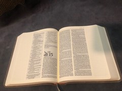 One Year Nlt New Living Translation Expressions Bible Brown Leather Journaling