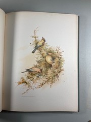 Birds and Blossoms Fidelia Bridges 1887 Gilt Victorian Gift Book Antique Beauty