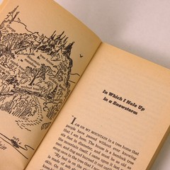 My Side of the Mountain Jean George Scholastic Inc Paperback
