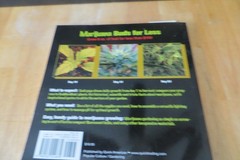 Marijuana Buds for Less: Grow 8 oz. of Bud for Less Than $100, SeeMoreBuds